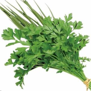 imagem do produto Cheiro verde - 1 mói