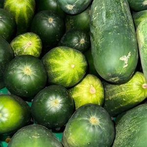 imagem do produto Pepino comum (unidade)