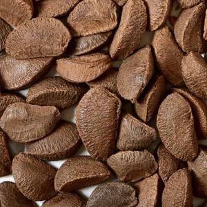 imagem do produto Castanha do pará (com casca)