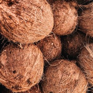 imagem do produto Coco seco und