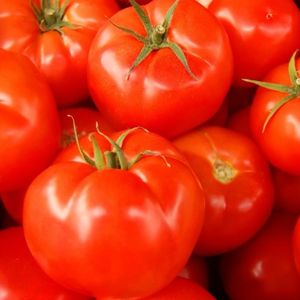 imagem do produto Tomate longa vida