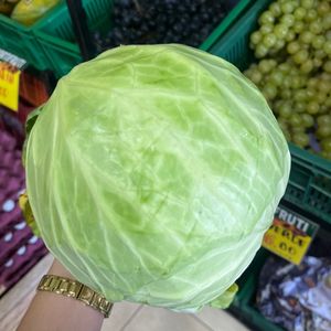 imagem do produto Repolho híbrido 