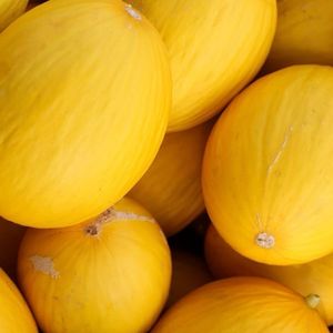 imagem do produto Melão 