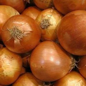 imagem do produto Cebola