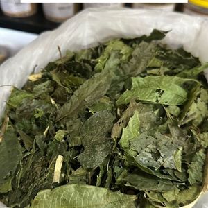 imagem do produto Espinheira Santa 