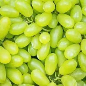imagem do produto Uva verde sem semente