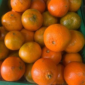 imagem do produto Tanja Murcot 