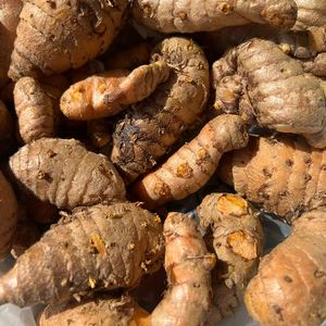 imagem do produto Açafrão da terra