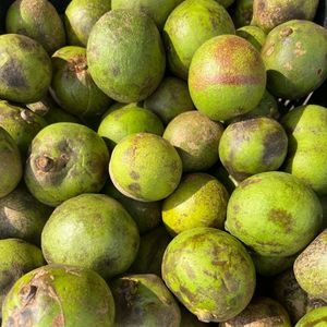 imagem do produto Pequi