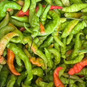 imagem do produto Pimenta de cheiro - 5 por 1 real. 