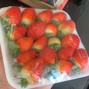 imagem do produto Morango (bandeja)