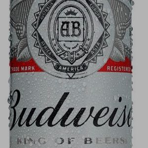 imagem do produto Cerveja Budweiser - lata 269ml 