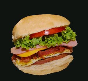 imagem do produto X-egg dog