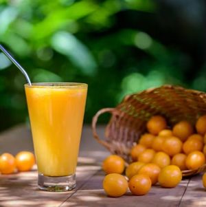 imagem do produto Suco de Cajá 300 ml
