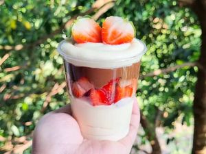 imagem do produto Duplo Ninho com Morango e Nutella