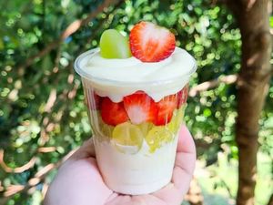 imagem do produto Duplo Ninho Tropical Morango e Uva