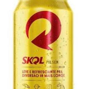 imagem do produto SKOL