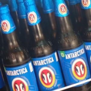 imagem do produto Antártica 600