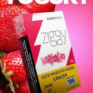 imagem do produto Essência ziggy yourgut