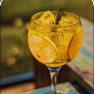 imagem do produto GIN TROPICAL