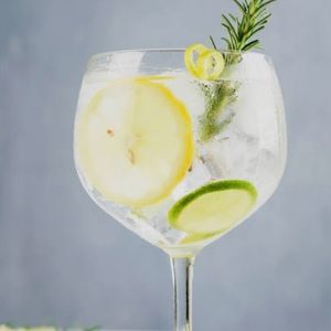 imagem do produto GIN TÔNICA 