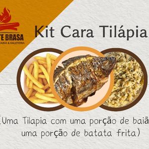imagem do produto Kit Tilápia 