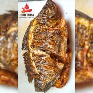 imagem do produto Cara Tilápia 