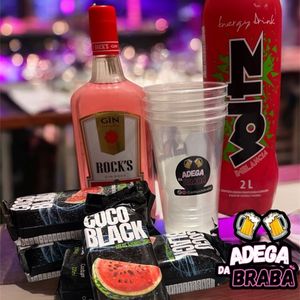 imagem do produto Combo Gin Hocks de melancia