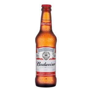 imagem do produto BUDWEISER LONG