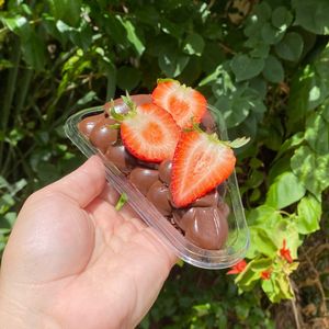 imagem do produto Fatia brownie Chocolatuda