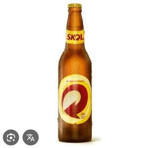 imagem do produto Skol 600 ml