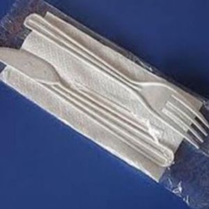 imagem do produto Talher Descartável 