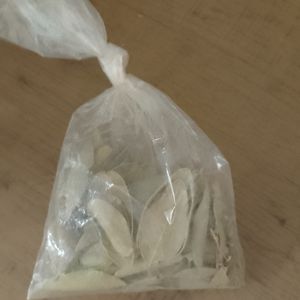 imagem do produto Folha de Louro