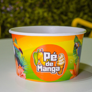 imagem do produto Embalagem para sorvete 500ml