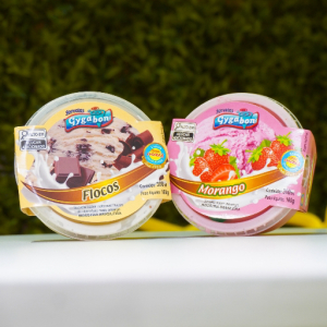imagem do produto Sorvete 300ml