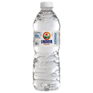 imagem do produto Agua Lindoya 500ml S/GAS