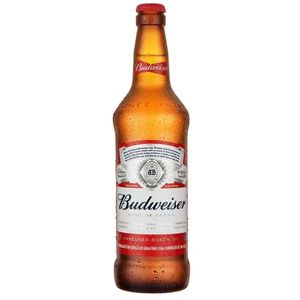 imagem do produto Budweiser 330ml uni