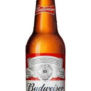 imagem do produto Budweiser long neck 