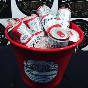 imagem do produto COMBO CERVEJA BUDWEISER 6 LATAS 