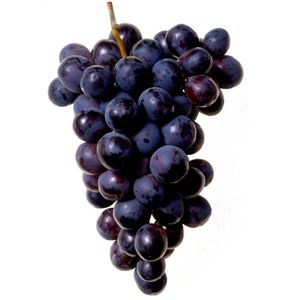 imagem do produto UVA