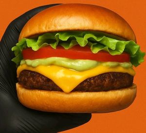 imagem do produto Flash Vegetariano