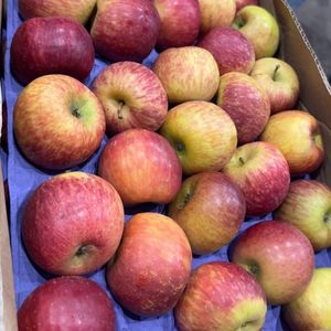 imagem do produto Maçã gala