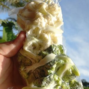 imagem do produto Brócolis e Couve flor 