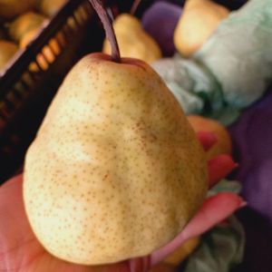 imagem do produto Pera