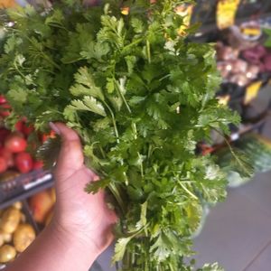 imagem do produto Coentro