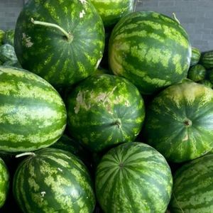 imagem do produto Melancia 