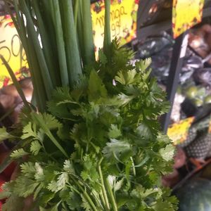 imagem do produto Coentro e cebolinha 