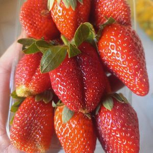 imagem do produto Morango 