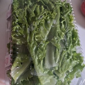 imagem do produto Alface higienizado 