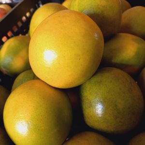 imagem do produto Laranja Pera rio 